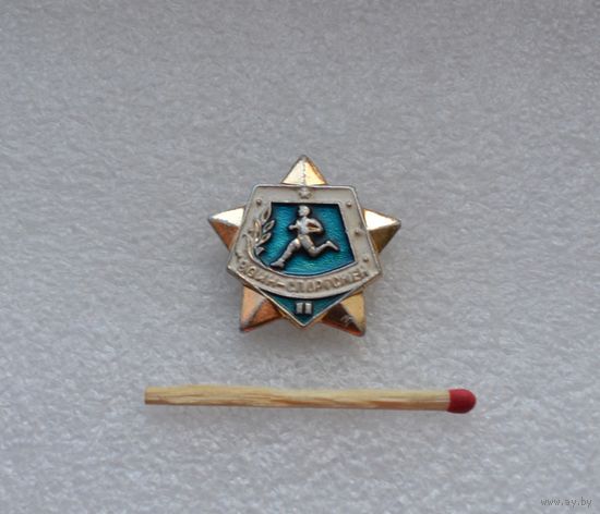 Воин-спортсмен. 2 степень.