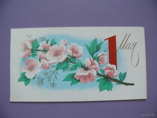 Боролин С., 1 Мая, 1980, двойная, чистая.