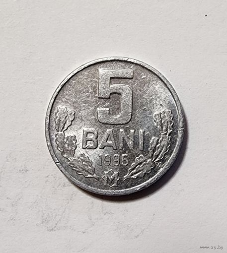 Молдавия 5 бань, 1995