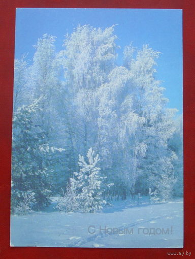 С новым годом! Чистая. 1990 года. Фото Дорожинского. *30.