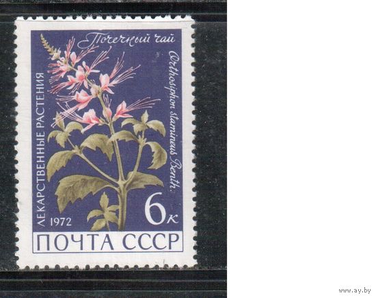 СССР-1972, (Заг.4041)  ** , Лекарственные растения