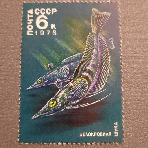 СССР 1978. Фауна. Белокровная щука. Марка из серии