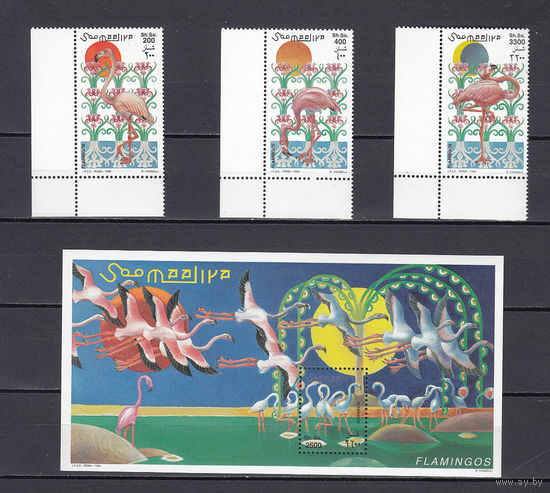 Фауна. Фламинго. Сомали. 1998. 3 марки и 1 блок. Michel N 726-728, бл56 (19,0 е)