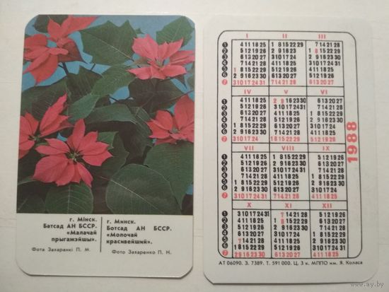 Карманный календарик. Молочай красивейший. 1988 год