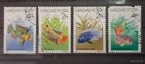 Венгрия. 1987 год. Фауна. рыбы (4 марки из серии)