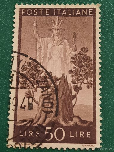 Италия 1945. Tree in bloom.