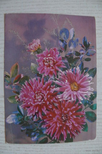 Дергилев И., Цветы; 1986, 1987, чистая.