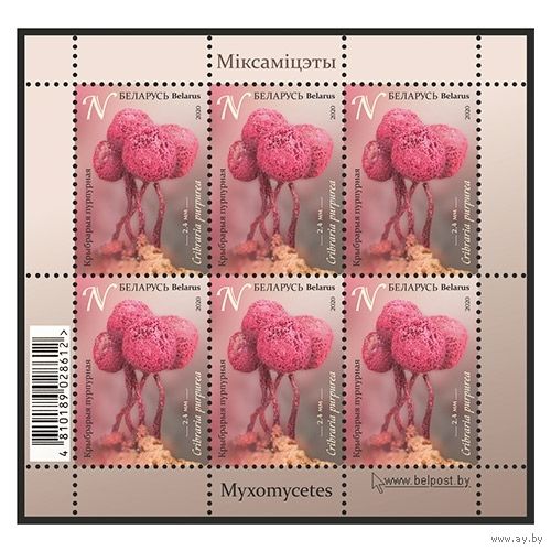 2020г Беларусь MNH  Малый лист "Крибрария пурпурная"
