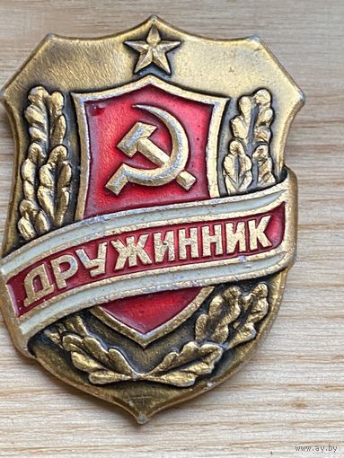 ДРУЖИННИК