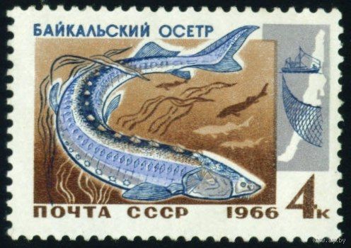 Рыбы Байкала СССР 1966 год 1 марка