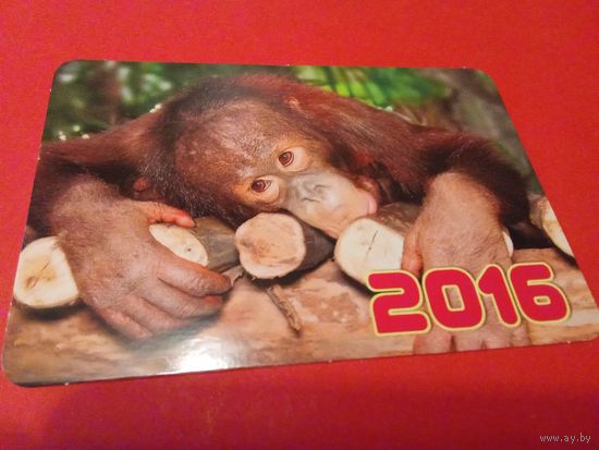 Календарик 2016г.