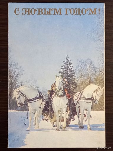 Раскин С Новым годом 1960-е подписанная открытка СССР