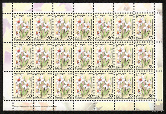 Беларусь. 2008. Стандарт.  Нарцисс (50р) (з.58-2009) Лист