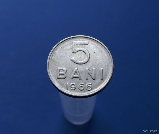 5 бани 1966 Румыния