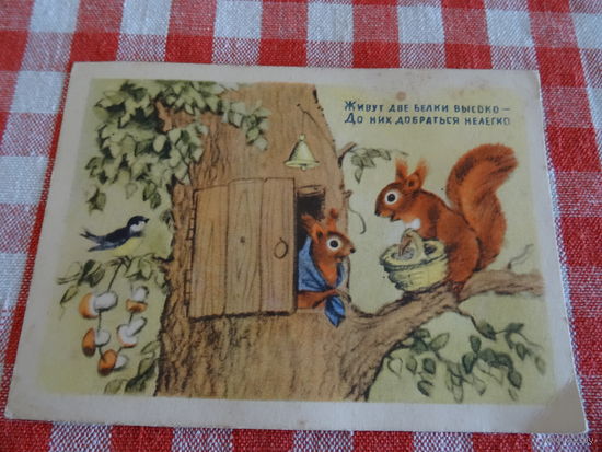 Открытка Н.Ушакова, 1954 г.