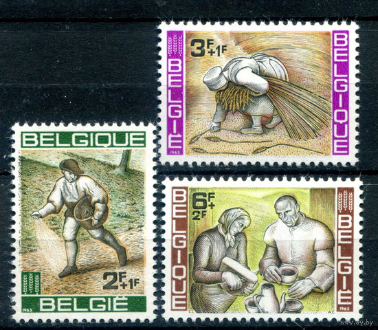 Бельгия - 1963 - борьба с голодом - 3 марки - полная серия, MLH [Mi 1303-1305]. #2-Be-56-KS-2