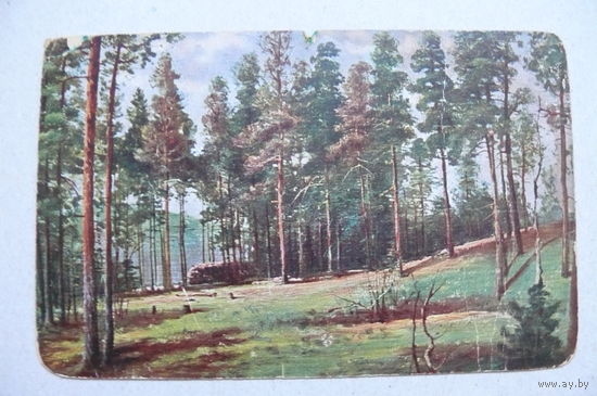 Шишкин И., Полянка с соснами (изд. Гранберг, G.K.A., Стокгольм; номер 3849), подписана.