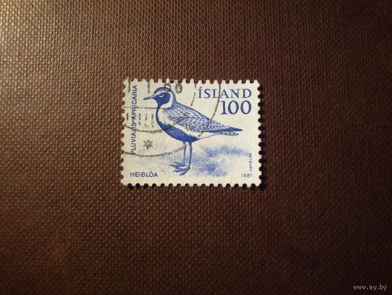 Исландия 1981 г.Золотистая Ржанка (Pluvialis apricaria).