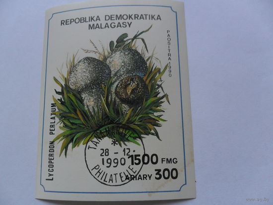 Мадагаскар, грибы