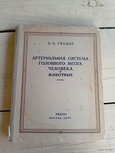 В.К.Гиндце "Артериальная система головного мозга человека и животных"\010