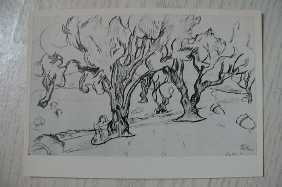 Кончаловский П., Испания. Кальдетас. Оливы; 1973, чистая.