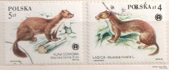Куньи. 2 марки, 1984г.,гаш. Польша.