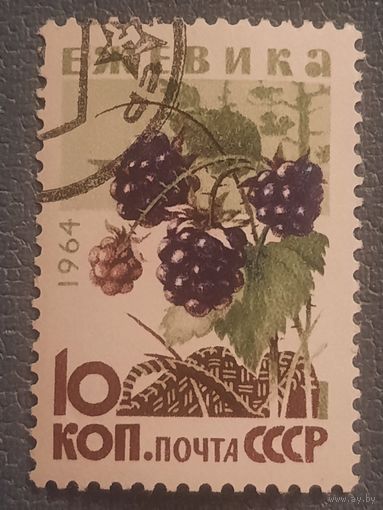 СССР 1964. Флора. Ежевика. Марка из серии
