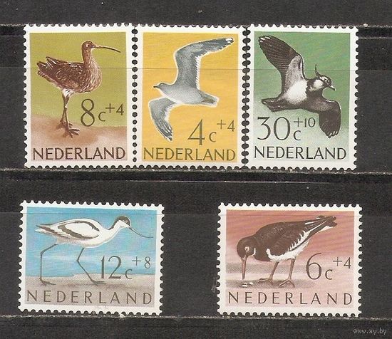 ФФ1 Нидерланды 1961 Птицы