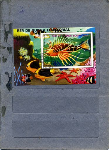 ЭКВАТОРИАЛЬНАЯ ГВИНЕЯ, 1979,  РЫБЫ,  почт. блок  гашен