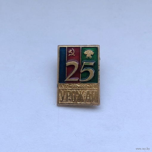 ДСО Урожай 25 лет