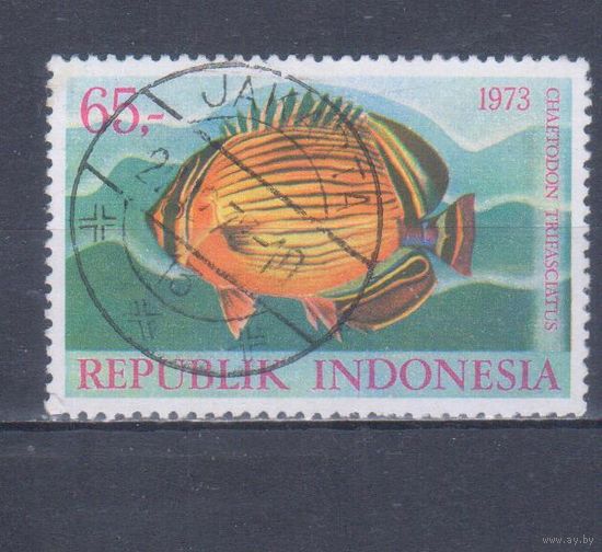 [707] Индонезия 1973. Фауна.Рыба. Гашеная марка. 2