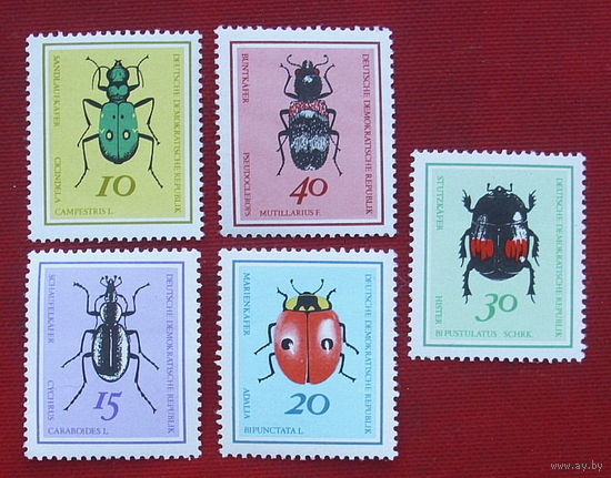 ГДР. Жуки. ( 5 марок ) 1968 года. 3-2.