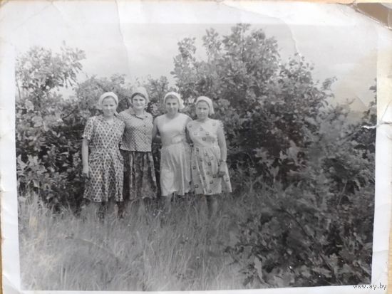 Фото в коллекцию