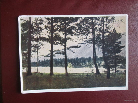 Почтовая открытка.СССР.1951г.