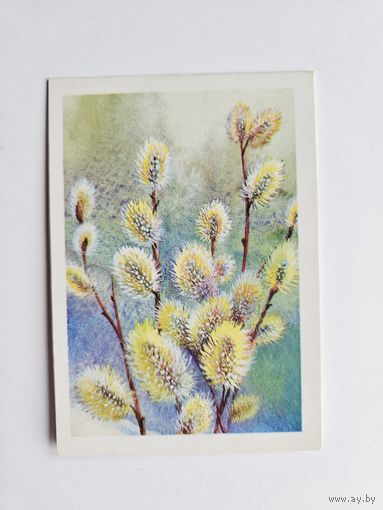 Жебелева 1988 Поздравляю