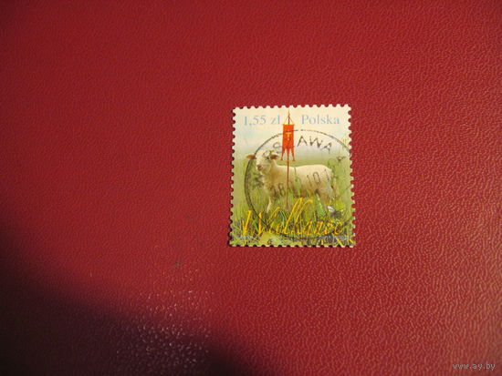 Марки Ягнёнок 2010 год Польша