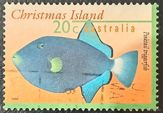 Остров рождества 1996. Фауна. Рыбы. Pinktail triggerfish