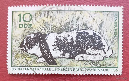 ГДР, 1970 г., международный меховой аукцион в Лейпциге