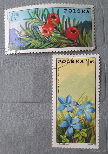 Польша цветы 2шт