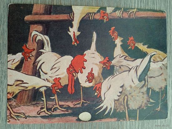 1957. Литвиненко. Чрезвычайное происшествие на птицеферме