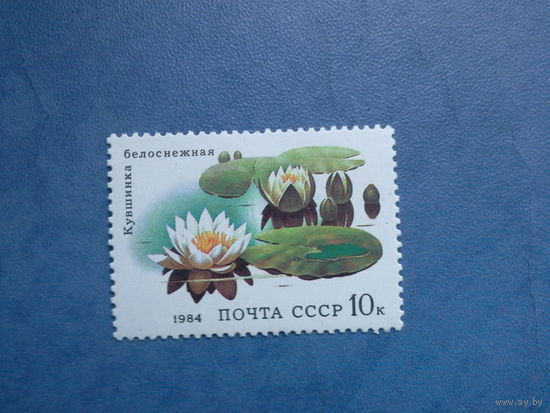 Ссср 1984. Кувшинка белоснежная.