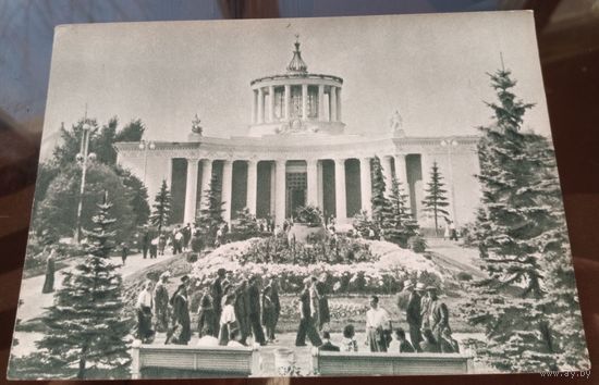 1955 год Москва ВСХВ Павильон чернозёмных областей