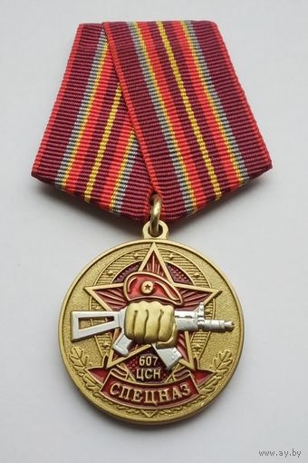 За службу в 607-м центре специального назначения.