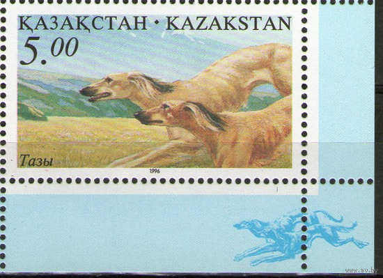 Казахстан, фауна, собака, 1996 г. Национальная охота ** Гончая Тазы