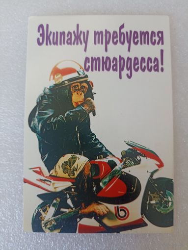 Животные, Обезьяны, 2004 год. Карманные календарики, Календарик, Календарь