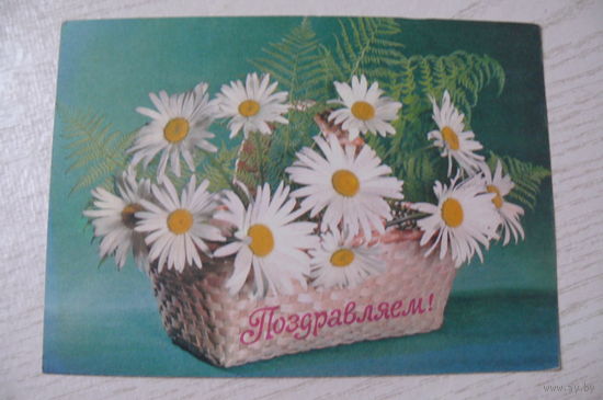 Круцко Б., Поздравляем! 1978, 1979, чистая (ромашки).