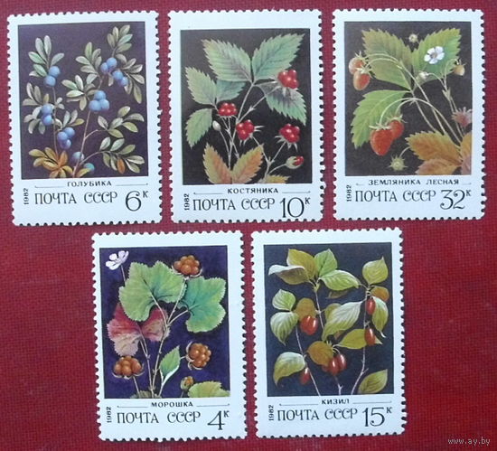 СССР.  Дикорастущие ягоды. ( 5 марок ) 1982 года. 6-12.