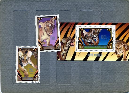 КНДР, 1982, ТИГРЫ серия 2м + блок , гашен