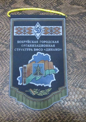 Вымпел. Бобруйская городская организационная структура БФСО Динамо