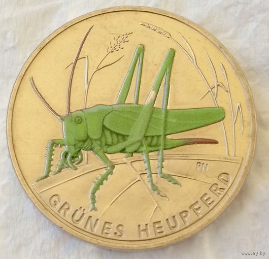 5 евро 2024. Зеленый кузнечик